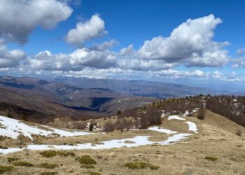 Parashikimi i motit, 26 janar 2025