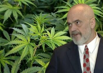 Ahmetaj: Kanabizimi Shqipërisë ishte projekt i Ramës, ja ministrat që e kundërshtuan…