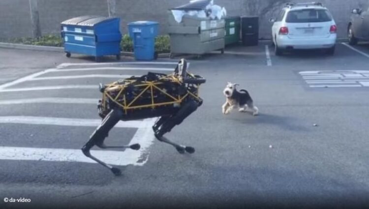 Një mijë robotë-shoqërues për të moshuarit në SHBA