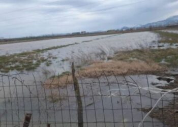 Moti i keq në Shqipëri, përmbyten dhjetëra hektarë tokë bujqësore