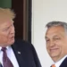 Orban i befason të gjithë, nuk do të marrë pjesë në inaugurimin e Trumpit