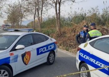 Vrasje në Shkodër, i riu ekzekutohet brenda makinës – Dëshmitë