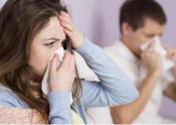 ISHP: Kalon piku i gripit