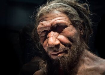 Veshi i brendshëm zbulon se neandertalët mund të kenë përjetuar humbje të mëdha gjenetike