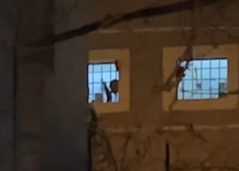 “O Erion, o hajdut…”, të burgosurit brohorasin nga qelitë e “313-tës” (Video)