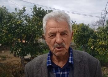 I biri iu arrestua për tregtimin e mandarinave me pesticide, flet babai: E përdorin të gjithë