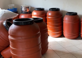 Drithërat, vaj i ullirit dhe lajthitë stok në Mallakastër, fermerët: S’ka treg, falimentuam