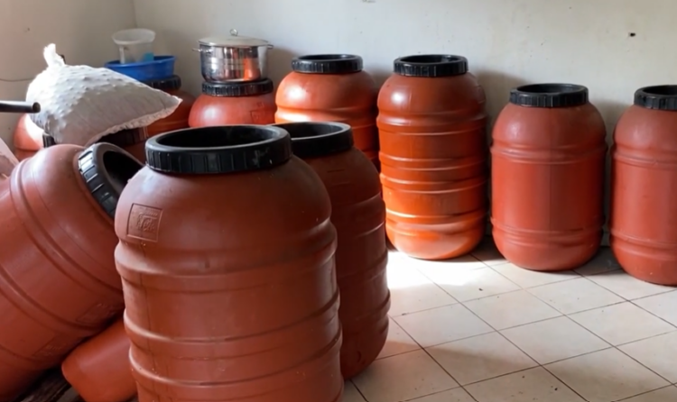 Drithërat, vaj i ullirit dhe lajthitë stok në Mallakastër, fermerët: S’ka treg, falimentuam