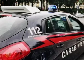 Tronditëse! 22-vjeçari vret nënën me thikë dhe më pas i vë flakën shtëpisë