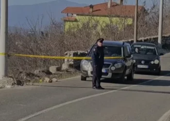 Plagosja e 29-vjeçarit në Kukës, shoqërohen disa persona, autori ende në kërkim