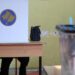 Numërohen 599 kuti votimi në Kosovë, VV kryeson me 55%, PDK 25%, LDK 9%