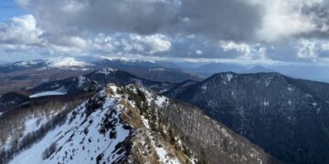 Parashikimi i motit, 2 Shkurt 2025