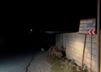 EMRAT/ Kush janë dy të shpallurit në kërkim për ngjarjen e Malësisë së Madhe
