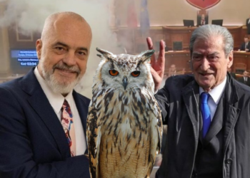 “Berisha është buf kënete”,  Malltezi ‘i përvishet’ Ramës: Minjtë dhe hajdutët e kanë frikë!