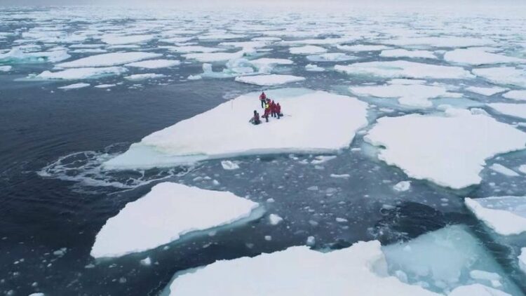 Shkencëtarët të alarmuar / Akulli global në minimum historik