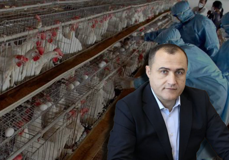 Pas rasteve me gripin e shpendëve, shkarkohet nga detyra drejtori i AKVMB-së