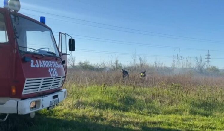 Zjarr në zonën moçalore të Rrilës në Lezhë, era e fortë vështirëson shuarjen e flakëve
