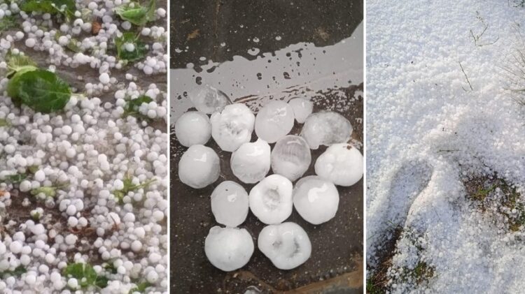 Breshër i pazakontë në Frakull, dëme të shumta në pemëtari