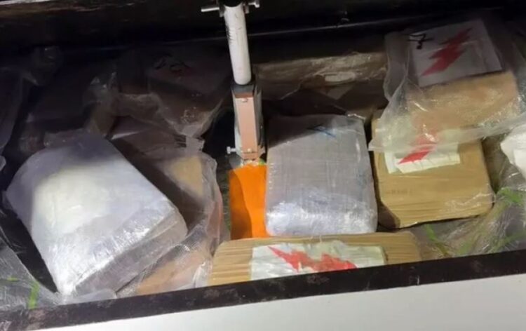 Transportonin kokainë me vlerë 6 milionë euro, arrestohen dy shqiptarë në Itali