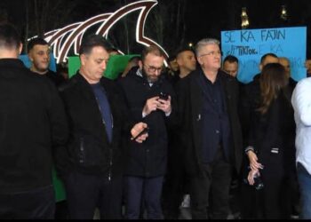 Protesta për TikTok, kreu i të rinjve demokratë: Mbyllja e rrjetit social bëhet për sigurinë elektorale të Ramës