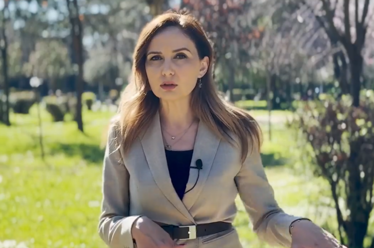 Tabaku: Ekonomia shqiptare është rrënuar nga taksat e larta dhe privilegjet për një pakicë