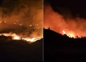 Zjarr në Vlorë, përfshihet nga flakët pylli i fshatit Tragjas