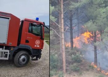 Zjarr masiv në Gjorgoz të Fierit, problem terreni i vështirë