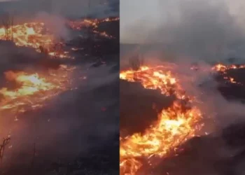 Zjarri përfshin malin e Moravës, zjarrfikësit dhe banorët në luftë me flakët