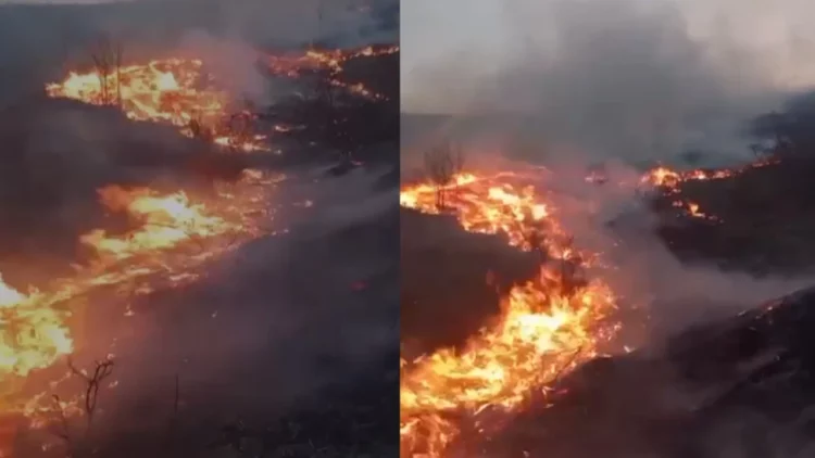 Zjarri përfshin malin e Moravës, zjarrfikësit dhe banorët në luftë me flakët