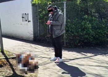 Gjermani, 33-vjeçari nga Kosova plagos me thikë gruan në sy të fëmijës së mitur