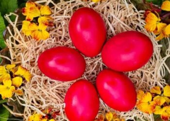 E Enjtja e Madhe dhe kuptimi i lyrjes së vezëve të kuqe të Pashkës