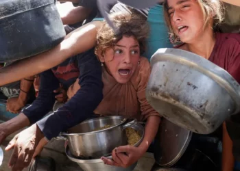 Furrat mbyllen, fëmijët vdesin/ 60 ditë bllokadë e ndihmave, Gaza në prag të zisë së bukës