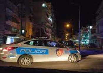 Çfarë ndodhi? Kanosje me armë zjarri në Kamëz, shoqërohet autori në Polici