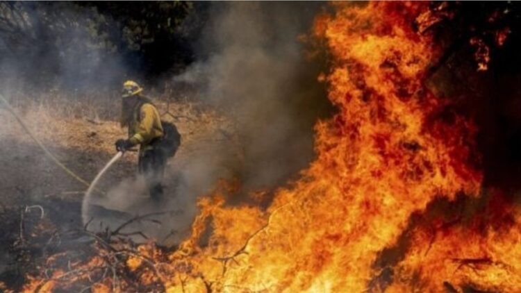Studimi: Grimcat nga zjarri përkeqësojnë shëndetin mendor