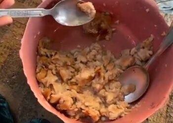 Gaza, aty ku foshnjat ushqehen me bukë të mykur! Dëshmi rrëqethëse: Jetojmë pranë varrezave, por jemi më të vdekur se ata