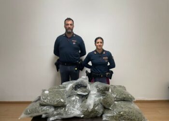 Kapen me 12 kg drogë, arrestohet shqiptari dhe italiania