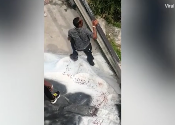 Çmenduri për një selfie / I riu futet në kafazin e krokodilit por e pëson keq (VIDEO)