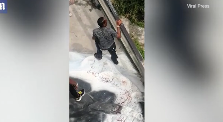 Çmenduri për një selfie / I riu futet në kafazin e krokodilit por e pëson keq (VIDEO)