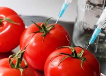 A po i hamë ne “ato” që nuk i ha BE-ja?