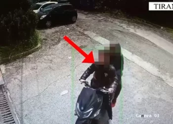 “Pako” me drogë nga SHBA nëpërmjet postës, arrestohen 3 persona në Tiranë dhe Shkodër