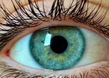 Quhet ‘olo’, shkencëtarët pretendojnë se kanë zbuluar një ngjyrë të re që askush nuk e ka parë më parë!