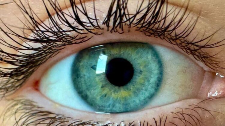 Quhet ‘olo’, shkencëtarët pretendojnë se kanë zbuluar një ngjyrë të re që askush nuk e ka parë më parë!