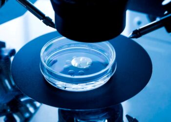 Gruaja lind fëmijën e gabuar, klinika implantoi embrionin e një gruaje tjetër!