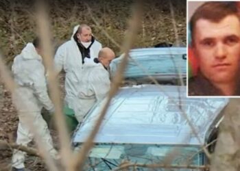 Detajet/ Vrau me thikë shqiptarin pas seksit në makinë, lirohet i mituri italian