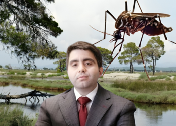 DOKUMENTET/ Tenderi i mushkonjave çoi Jonaid Myzyrin në SPAK