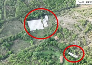 Zbulohen me dron rreth 3 mijë bimë kanabisi në Vaun e Dejës, asnjë i arrestuar