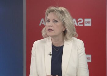 Deputetja socialiste pranon luftën e brendshme në PS: Ka përplasje mes kandidatëve