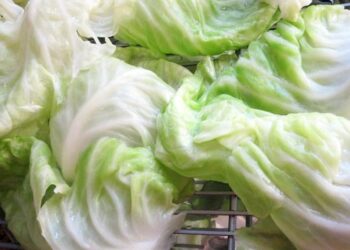 Gjethet e lakrës si kurë kundër dhimbjeve të kokës, si t’i përdorni