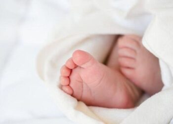 Raporti i OKB: Shqipëria e para në botë për rënien e lindjeve