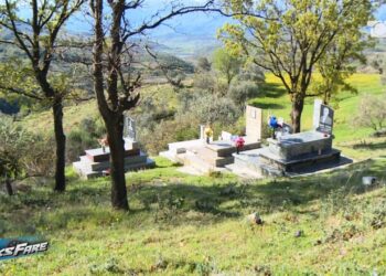 Horror në Mallakastër/ Eshtra njerëzore prej vitesh në sipërfaqe, askush s’i shikon!